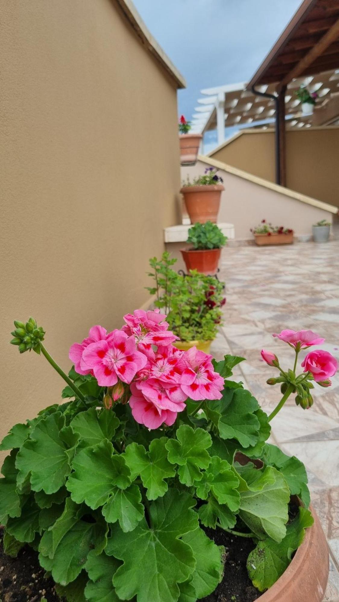 Luis Penthouse Apartment Berat Exterior photo